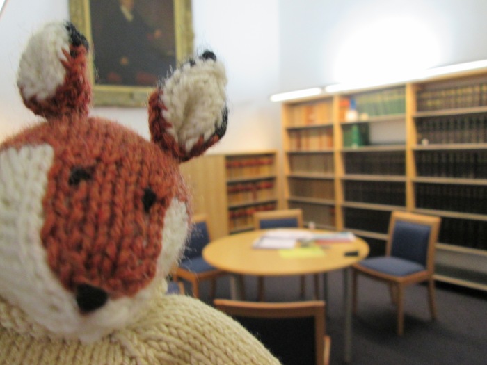 Fintan fox in the library 002